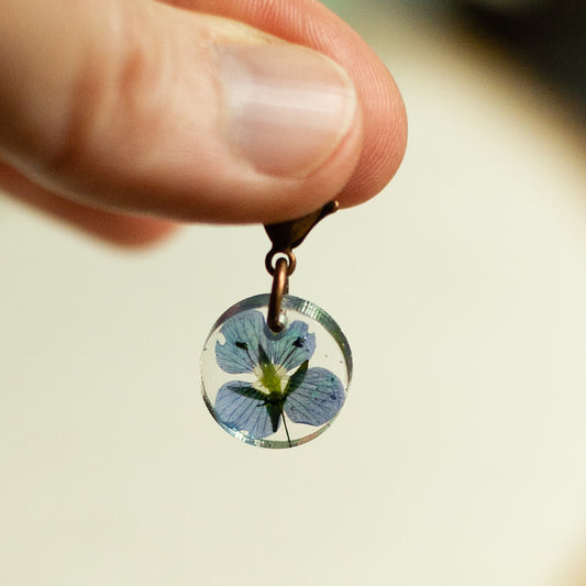 Behind the Idea:  Dried Flower Progress Keepers