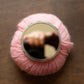 Pollinators Pocket Mirror