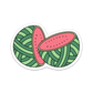 Watermelon Sticker
