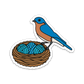 Bluebird Nest Sticker