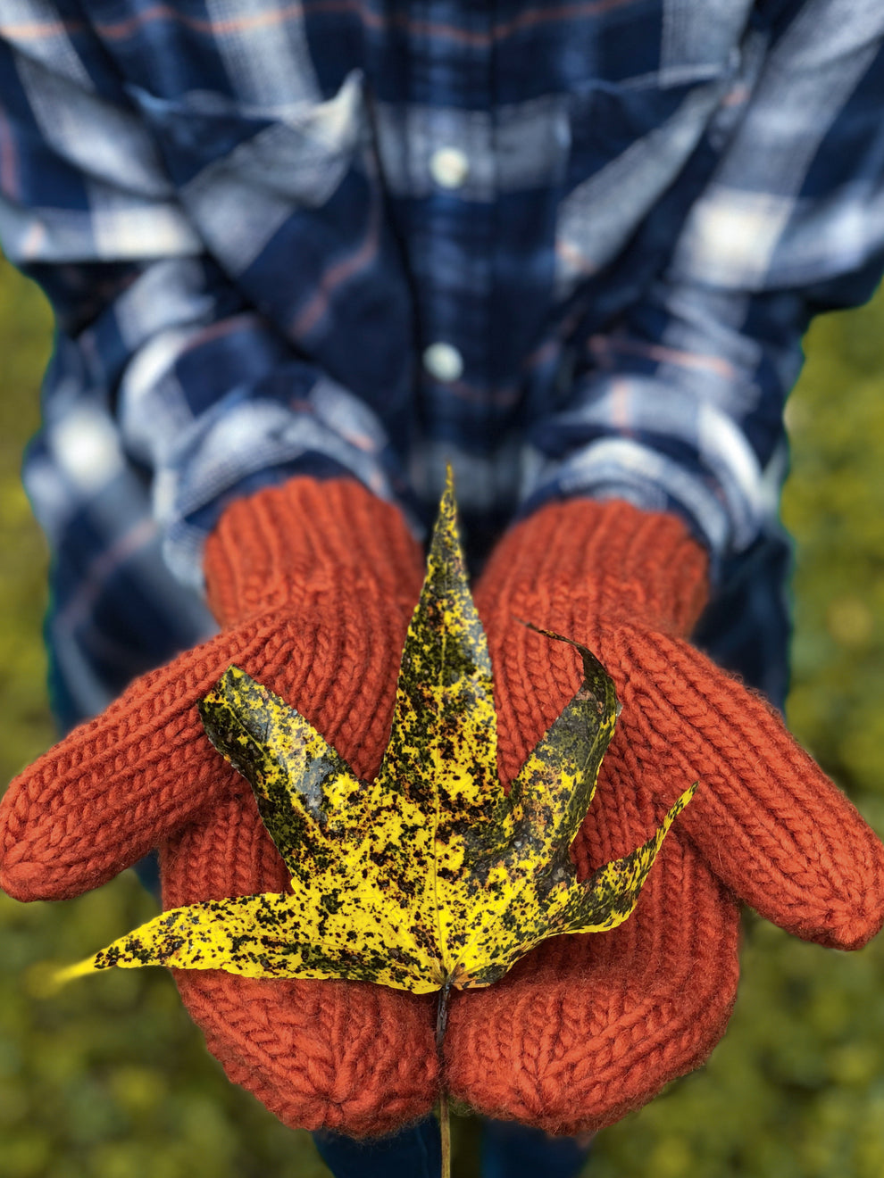Skyland Mittens Knitting Pattern – Camp Stitchwood